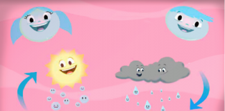 Pinguim Content disponibiliza seu conteúdo educativo para escolas