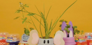 Vigor lança websérie de atividades ‘faça você mesmo’ para toda a família